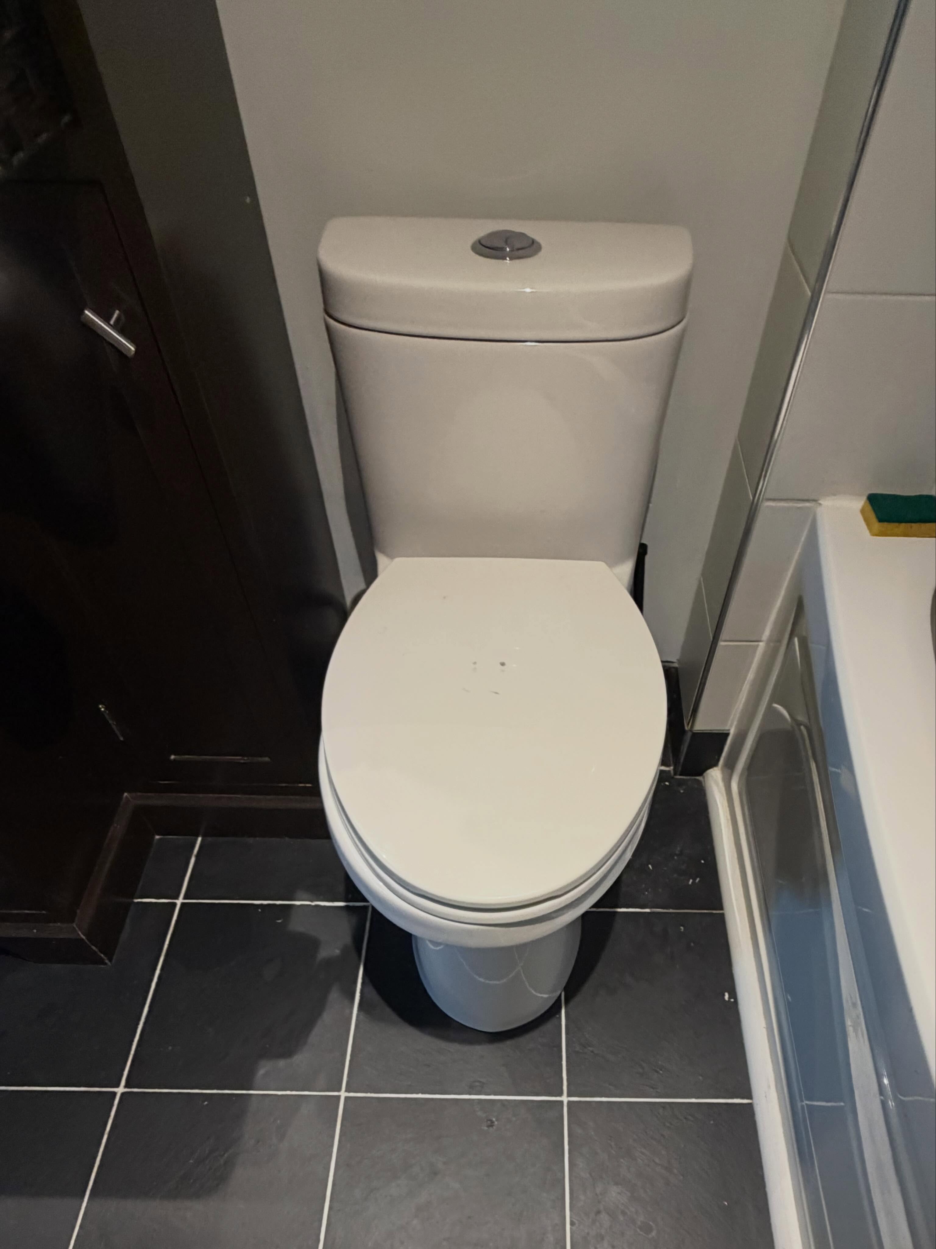 Toilet installation